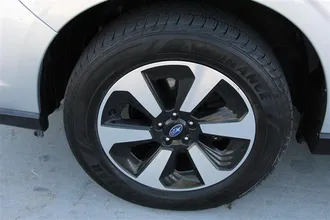 FORESTER 36