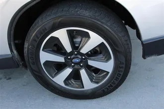 FORESTER 38