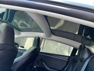 Model 3 Long Range 22