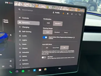 Model 3 Long Range 28