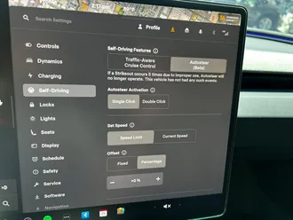Model 3 Long Range 29