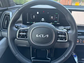 Sorento Plug-In Hybrid 19