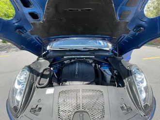 Macan 19