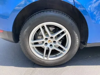 Macan 31