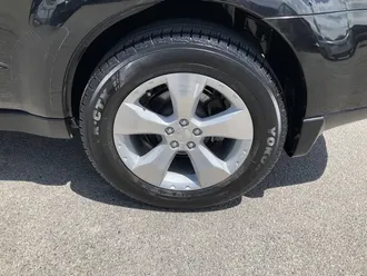 Forester 9