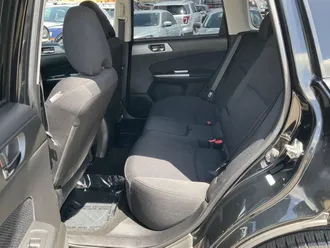 Forester 10