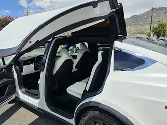 Model X 30