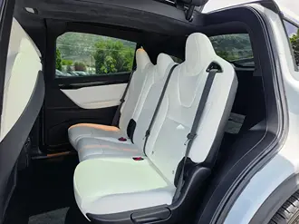 Model X 31