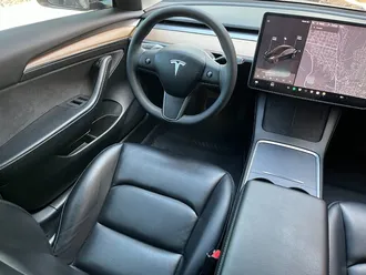 Model 3 Long Range 17