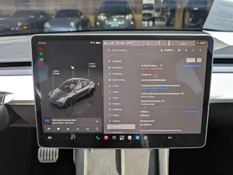 Model Y Performance 20