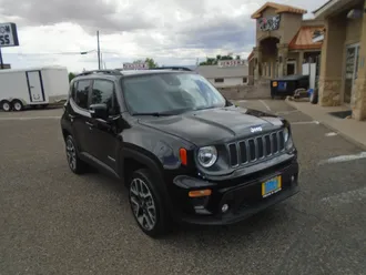Renegade 1