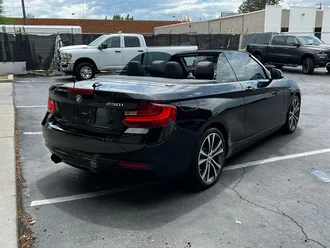 2 Series 230i 10