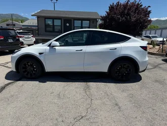 Model Y 6