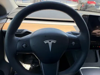Model Y 10
