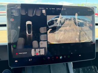 Model Y 11