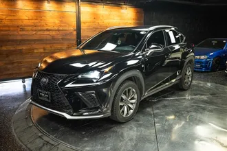 2018 LEXUS NX photo 2