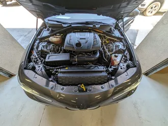 Giulia Ti 17