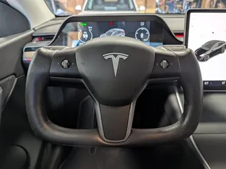 Model Y Long Range 19