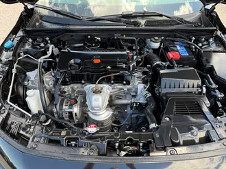 Civic 31