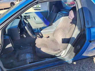 Fiero 12