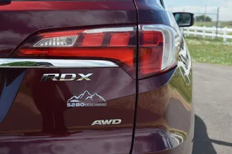RDX 19