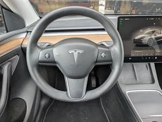 Model Y Long Range 19