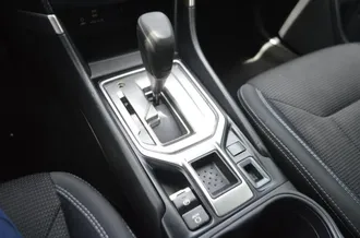 Forester 10