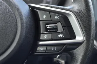 Forester 26