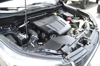 Forester 29