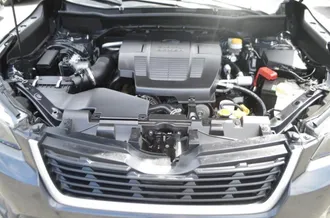 Forester 30