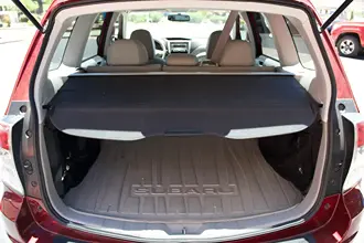 Forester 23