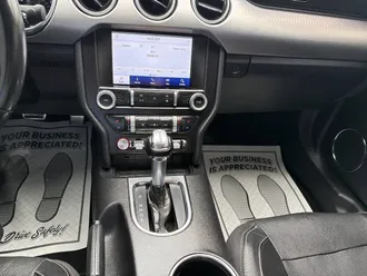 Mustang 9