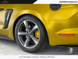 Mustang 13