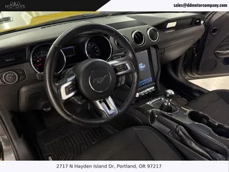 Mustang 15