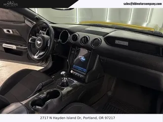 Mustang 17