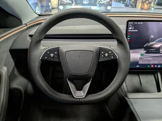Model 3 Long Range 19