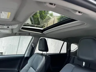 RAV4 Limited 19