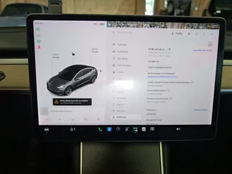 Model 3 Long Range 20