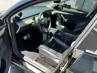 Model Y Performance 11