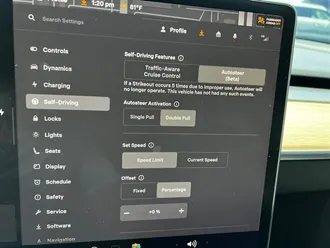 Model Y Performance 22