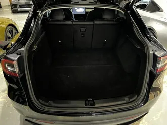 Model Y Performance 25