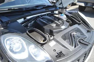 Macan 30
