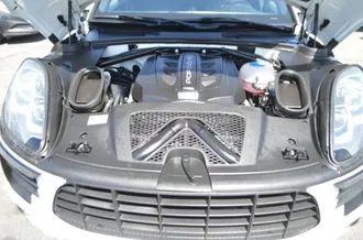 Macan 31