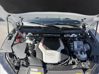 SQ5 17