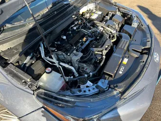 Corolla 29