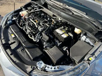 Corolla 31