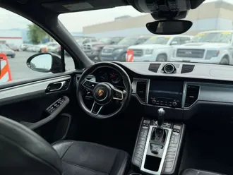 Macan 19