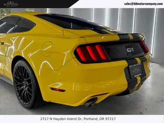 Mustang 11
