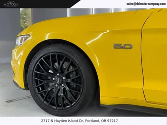 Mustang 13