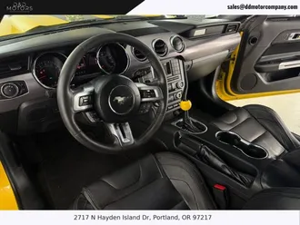 Mustang 15